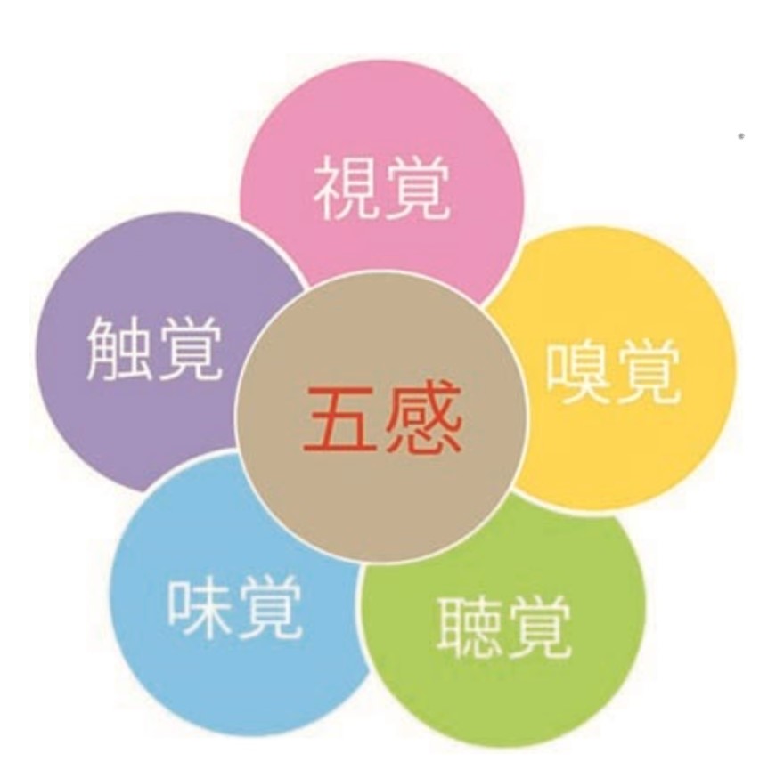 第五感☆ – エンクルグループ ブログ